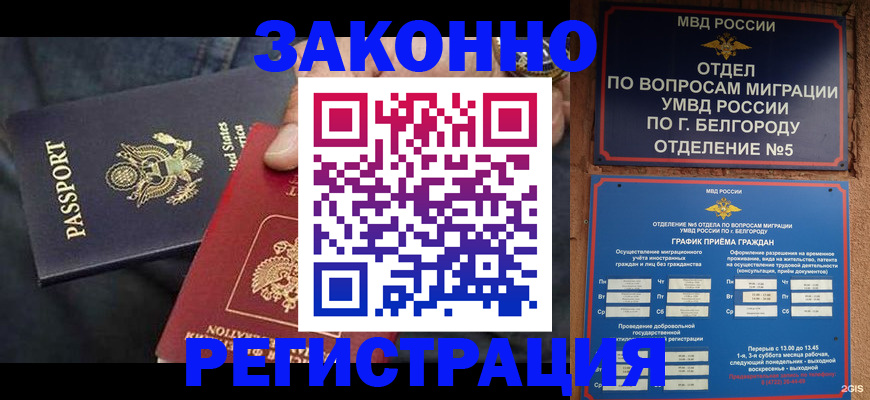 прописка законно в Курчатове